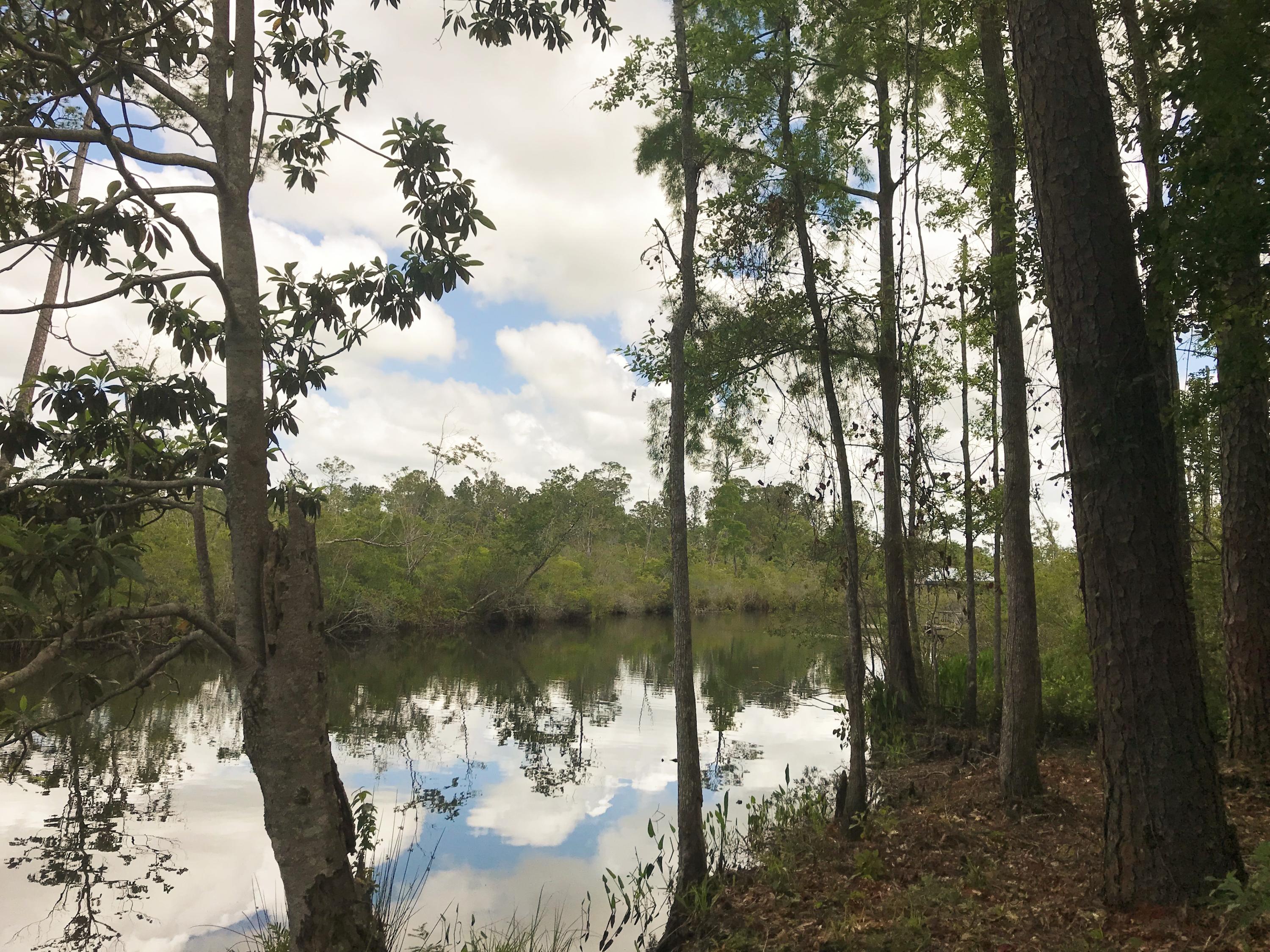 Tbd Easy Street Freeport, FL 32439 - Photo 3 of 6 Creek approx. 50 width at this area