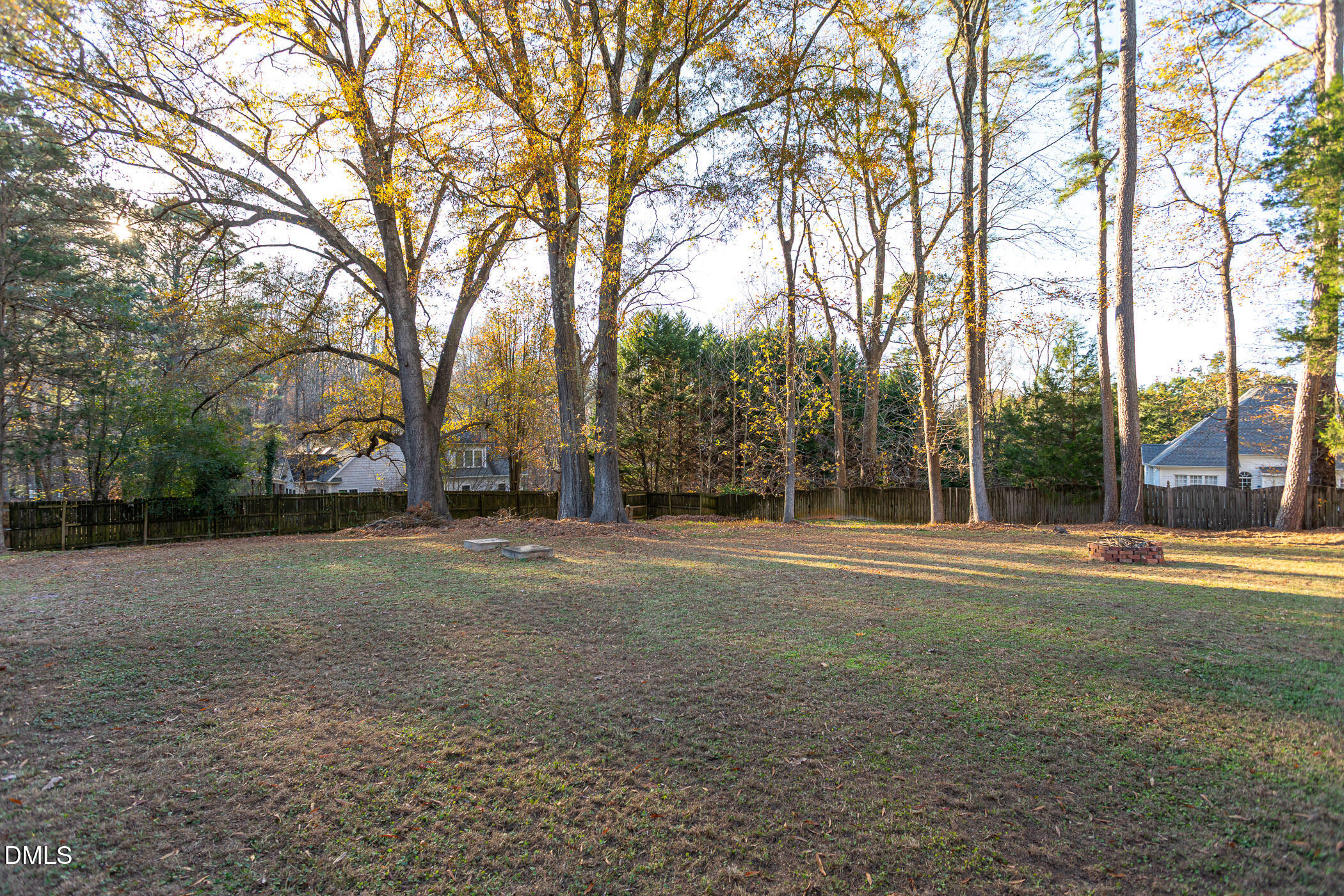9409 Ray Road Raleigh, NC 27613 - Photo 40 of 47 a view of a trees in a yard