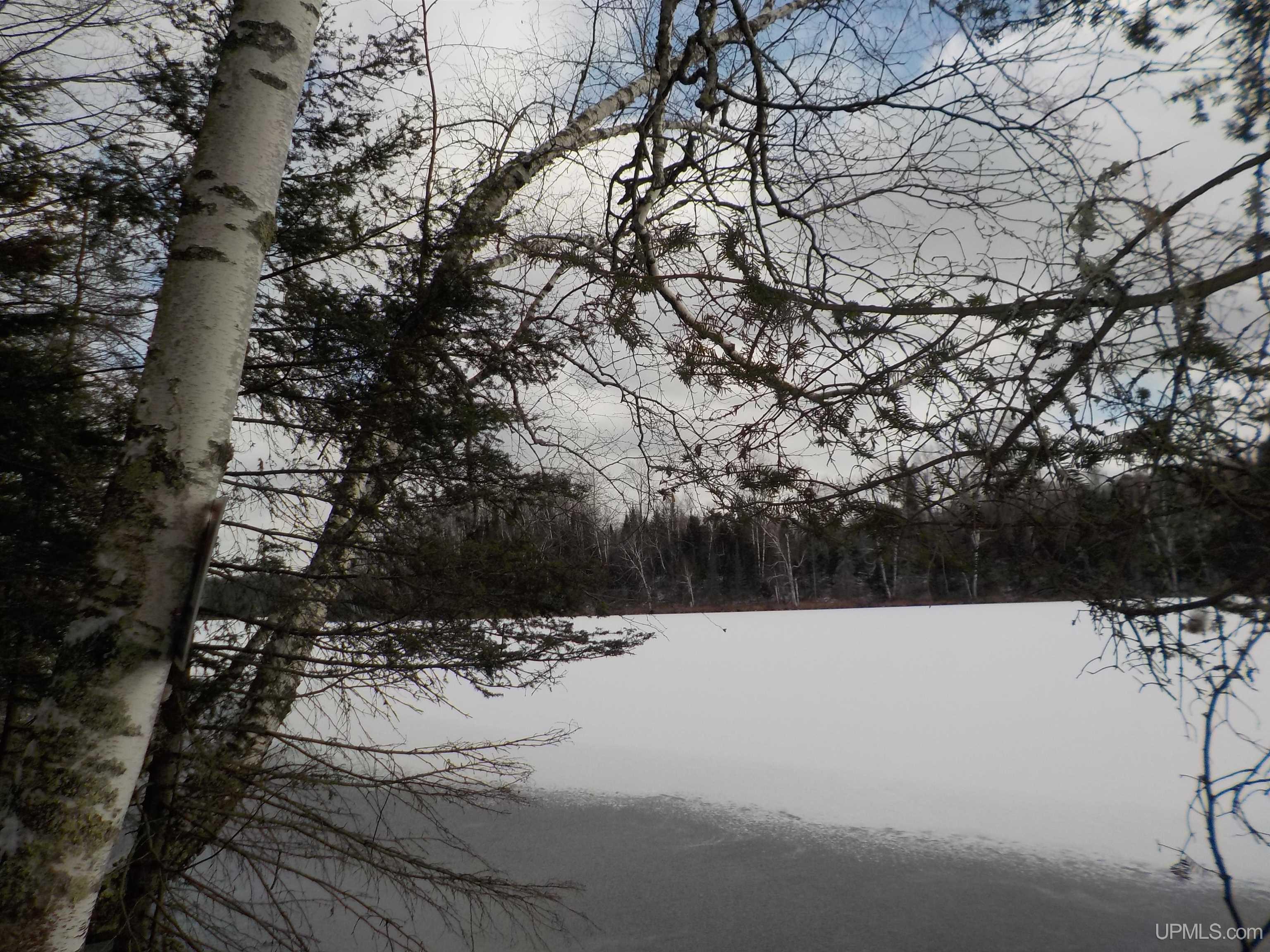 1.52-ac Bates-Amasa Road Crystal Falls, MI 49920 - Photo 1 of 28 Gallery Image 1