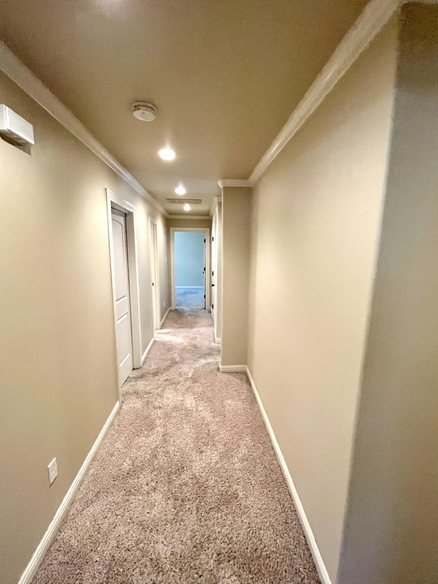 3321 55th Street Lubbock, TX 79413 - Photo 14 of 26 IMG_0087