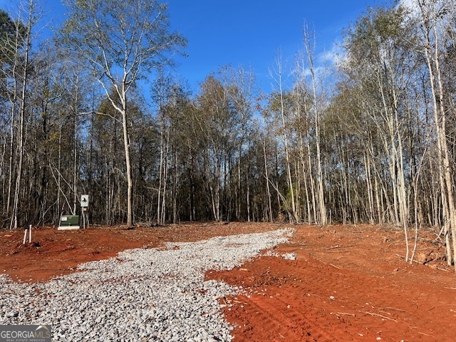 148 Berry Road, Unit LOT 12A Barnesville, GA 30204 - Photo 4 of 9 a street view covered with snow