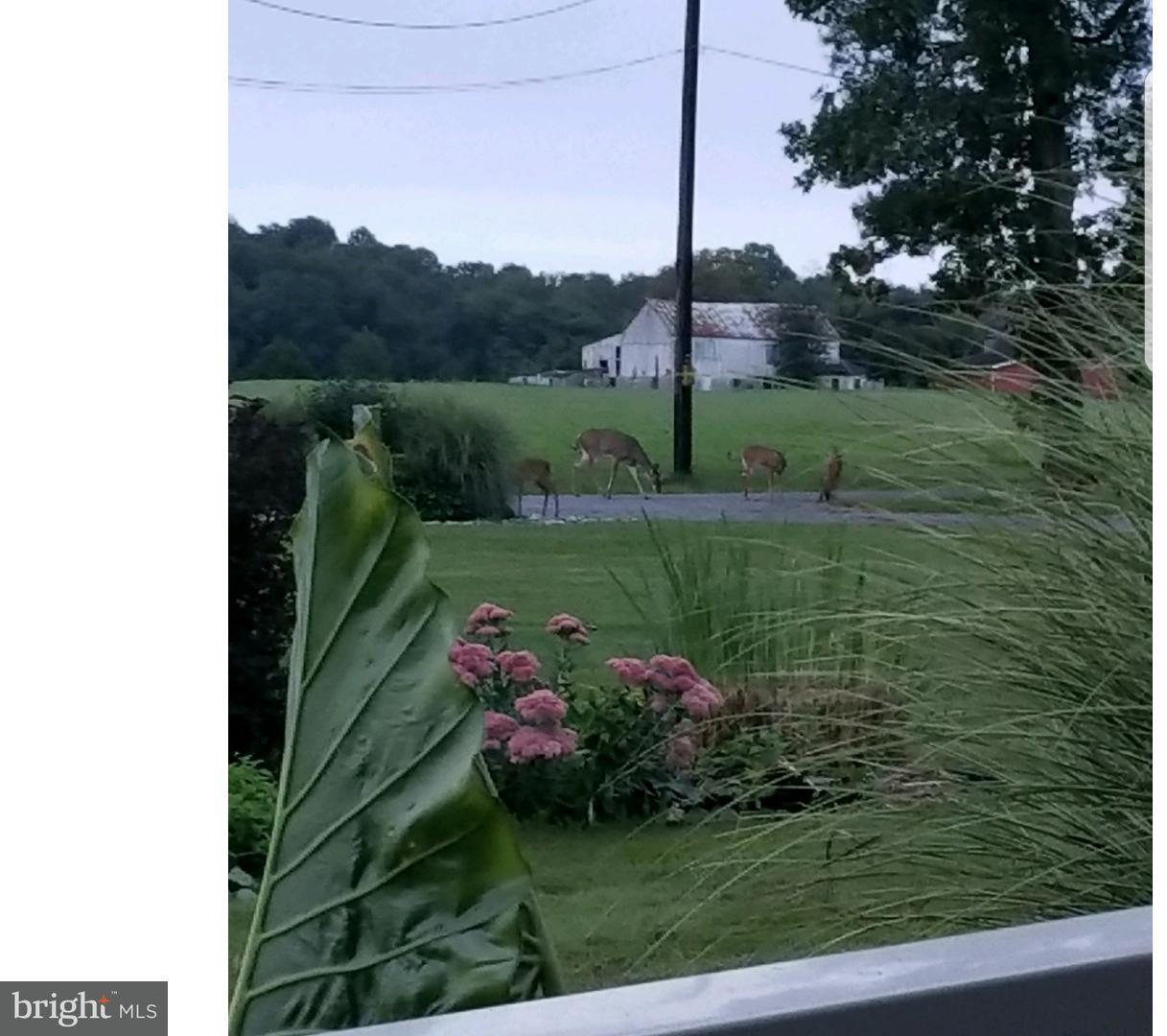 40 Beagle Club Road Woodstown, NJ 08098 - Photo 5 of 6 Gallery Image 5