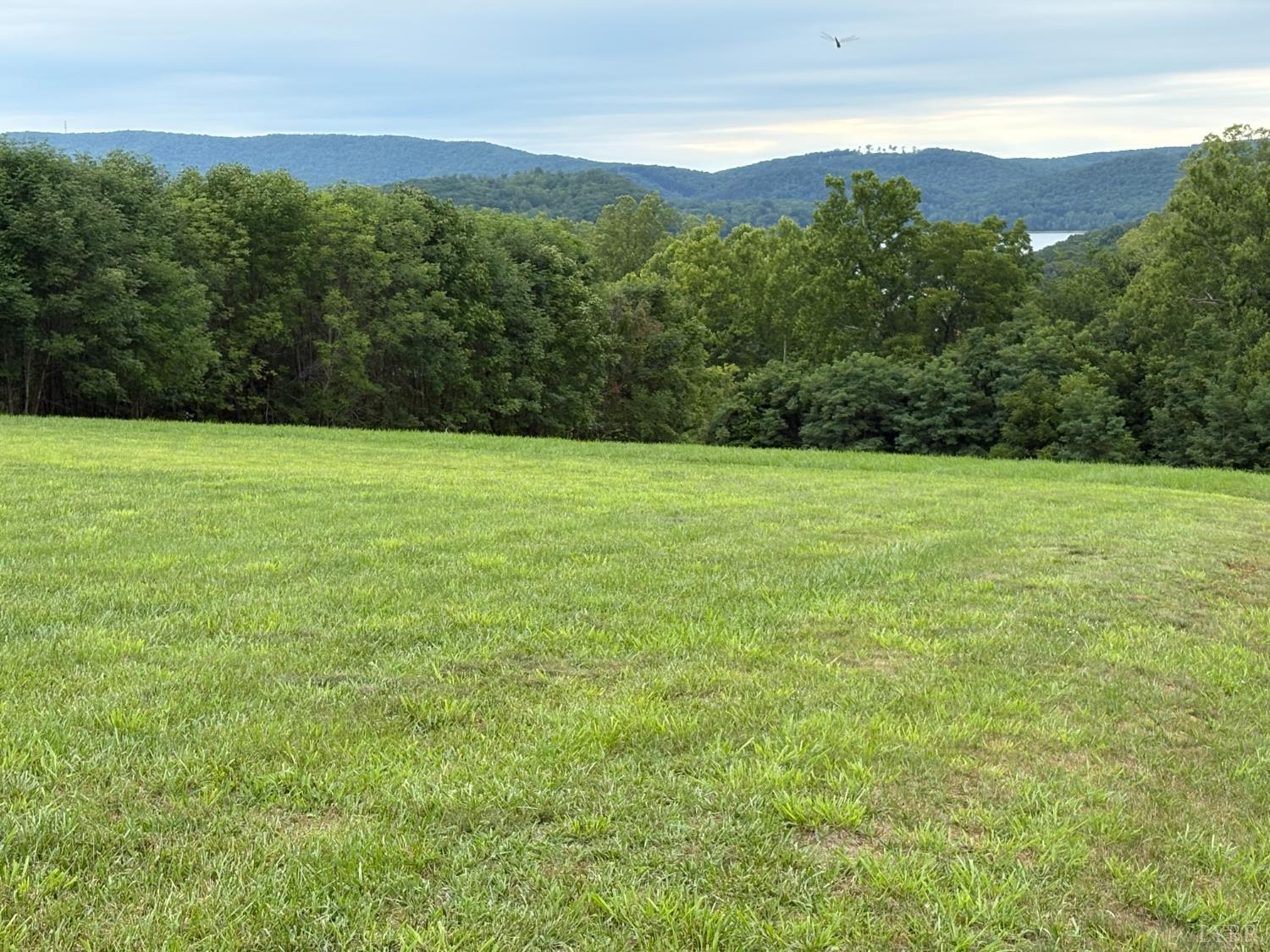 46 Sunset Bay Road Gretna, VA 24557 - Photo 12 of 18