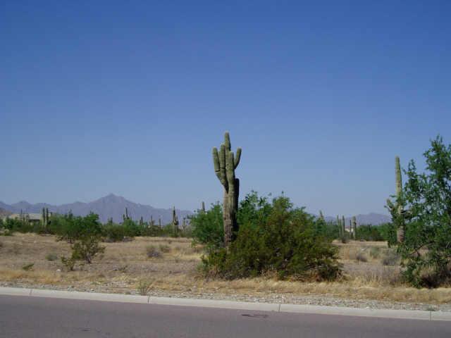 19 West Piedmont Road, Unit 2 Phoenix, AZ 85042 - Photo 1 of 4 Primary Photo