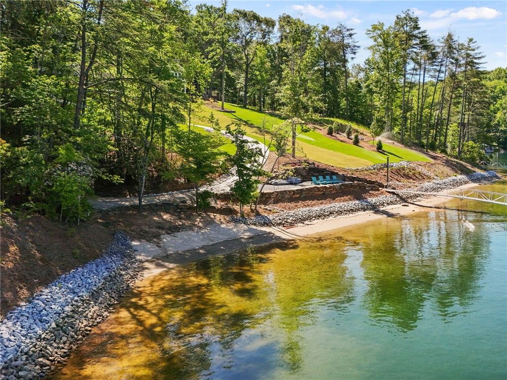 Lot 2 Johnson Drive Sunset, SC 29685 - Photo 7 of 22