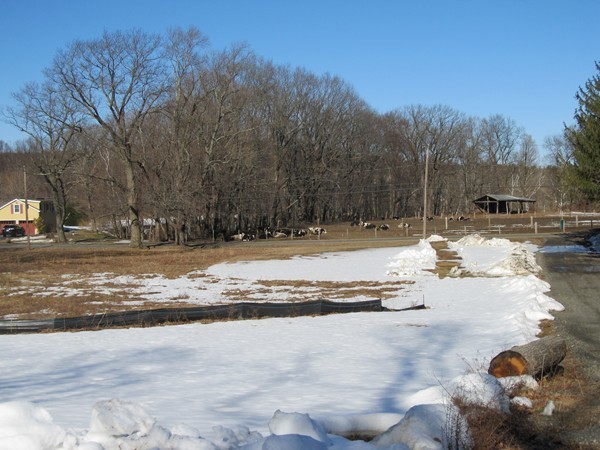 504 Russellville Road Westfield, MA 01085 - Photo 23 of 28 Gallery Image 23