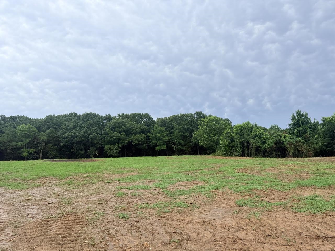 0 Young Cemetery Road Gadsden, TN 38337 - Photo 3 of 9