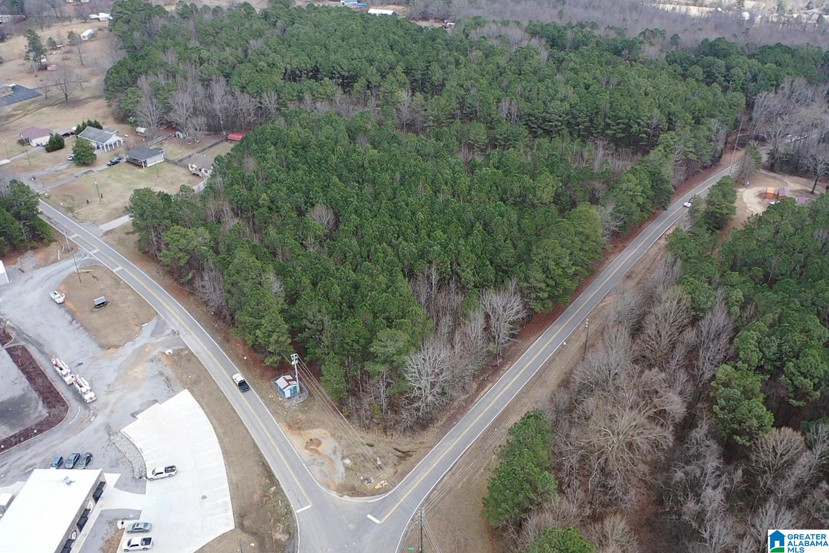1689 Arkadelphia Road, Unit LOT 1 Warrior, AL 35180 - Photo 7 of 12