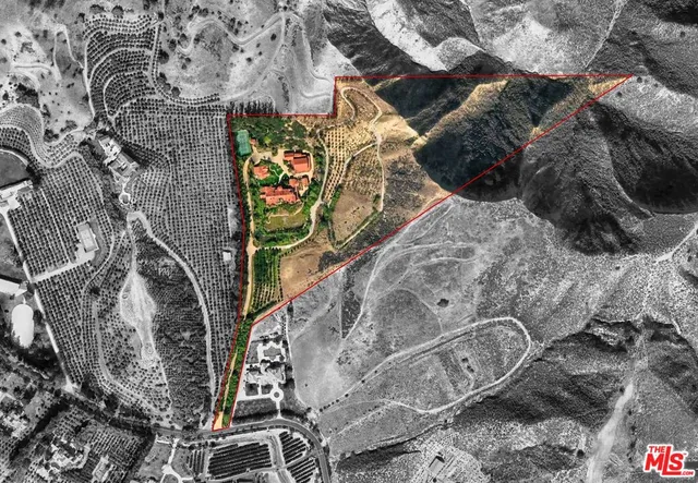 a view of a garden with lawn chairs