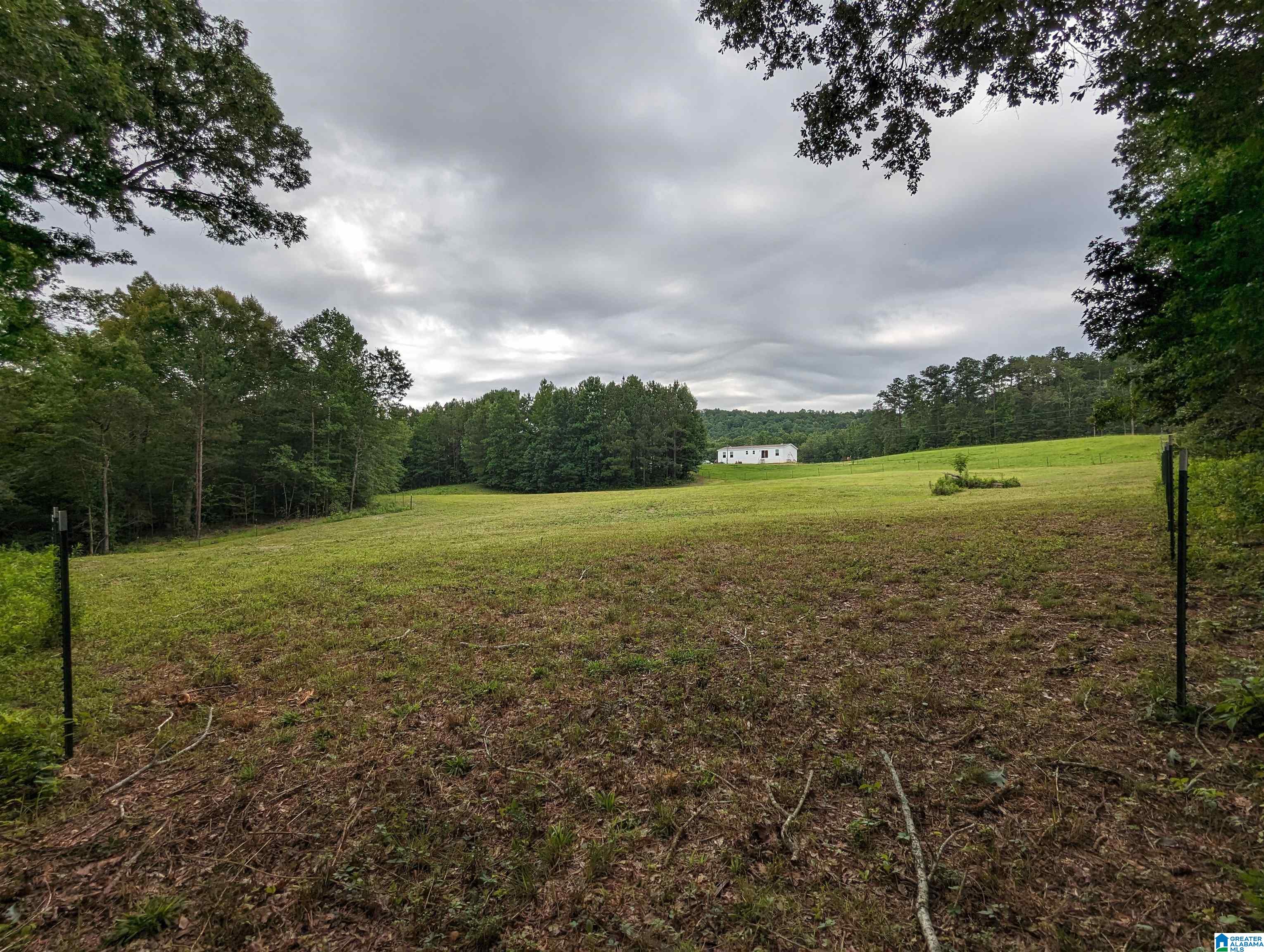 239 County Road 835 Clanton, AL 35046 - Photo 48 of 55