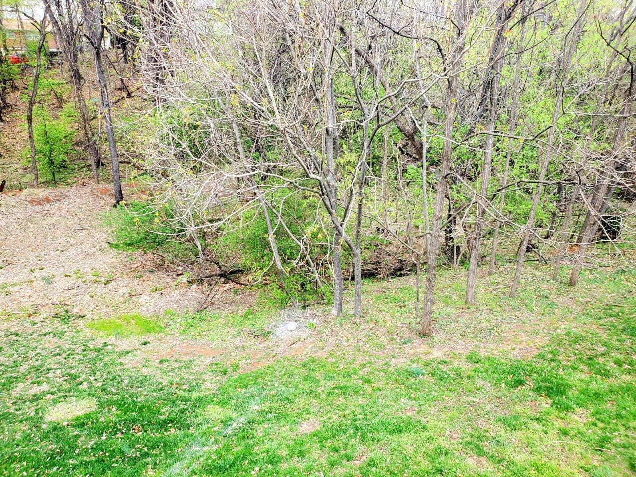 1110 Mountain View Road Vinton, VA 24179 - Photo 18 of 26 20250331_141047