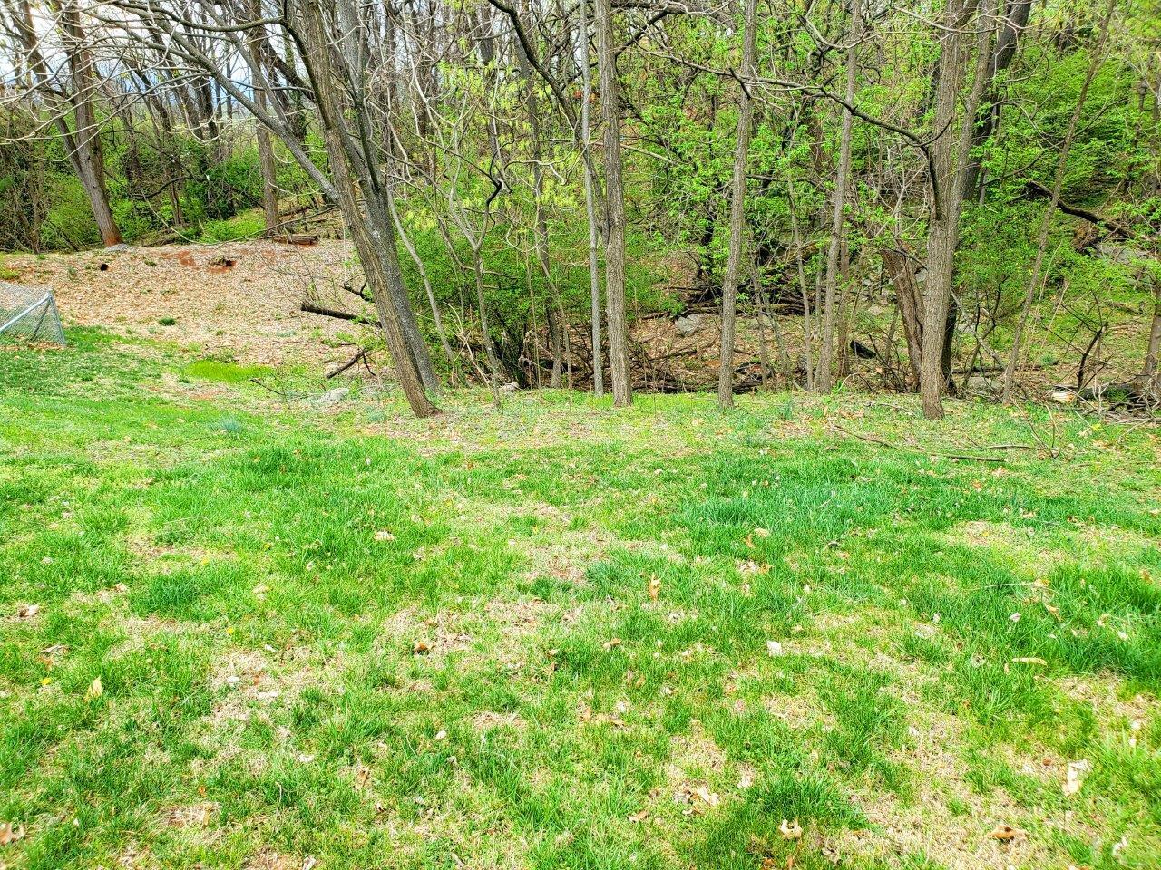 1110 Mountain View Road Vinton, VA 24179 - Photo 21 of 26 20250331_142331