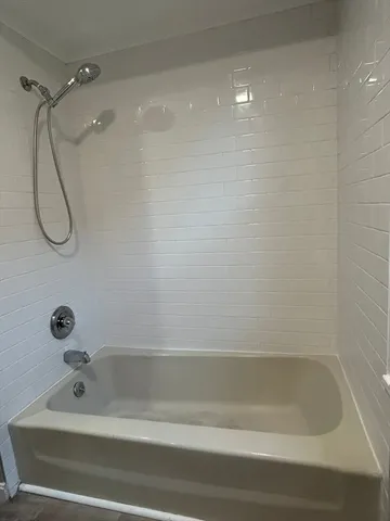 a bathroom with a shower and a bathtub