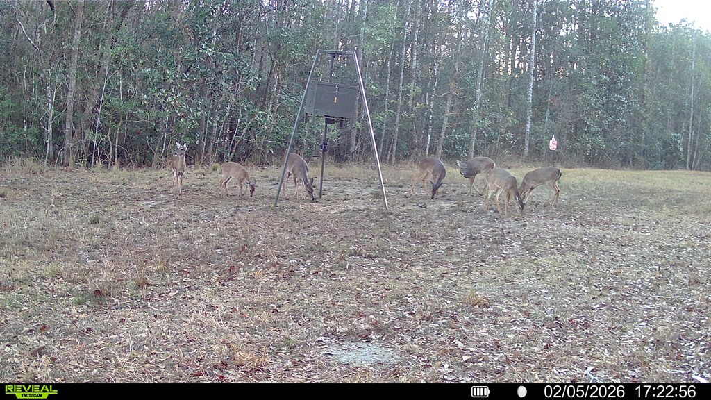 2500 Dean Church Road Ozark, AL 36360 - Photo 14 of 16