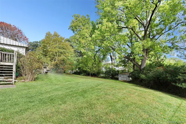 a view of a big yard with plants and large trees