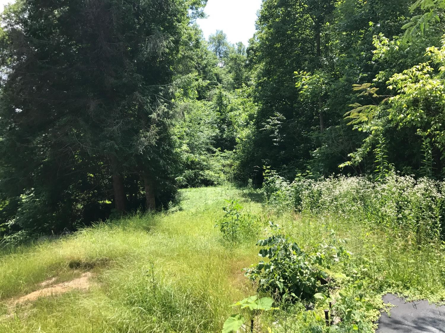 6797 Campton Road Stanton, KY 40380 - Photo 1 of 11 Photo 1