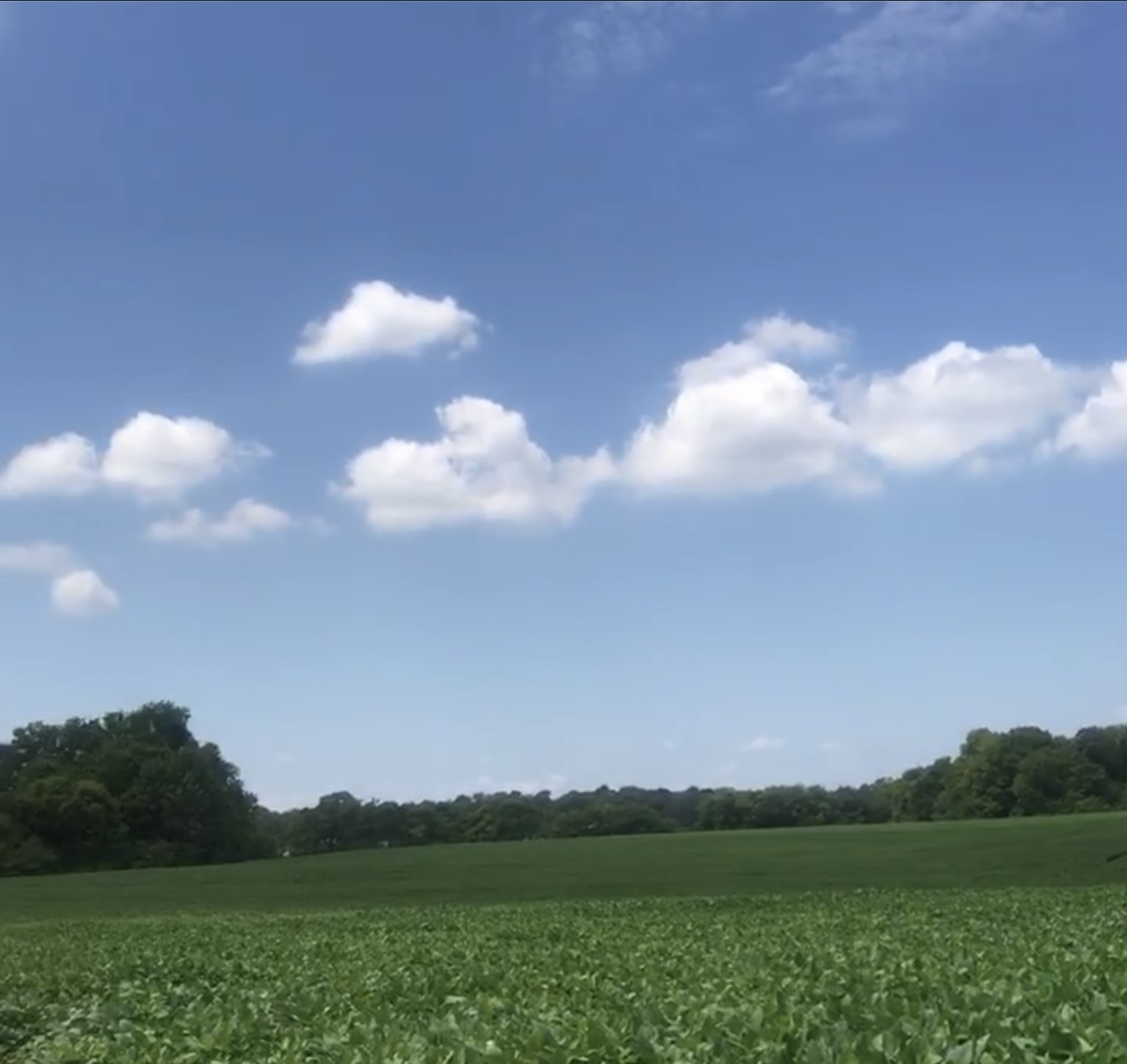 0 Branham Mill Road Gallatin, TN 37066 - Photo 2 of 4 a view of lake and mountain