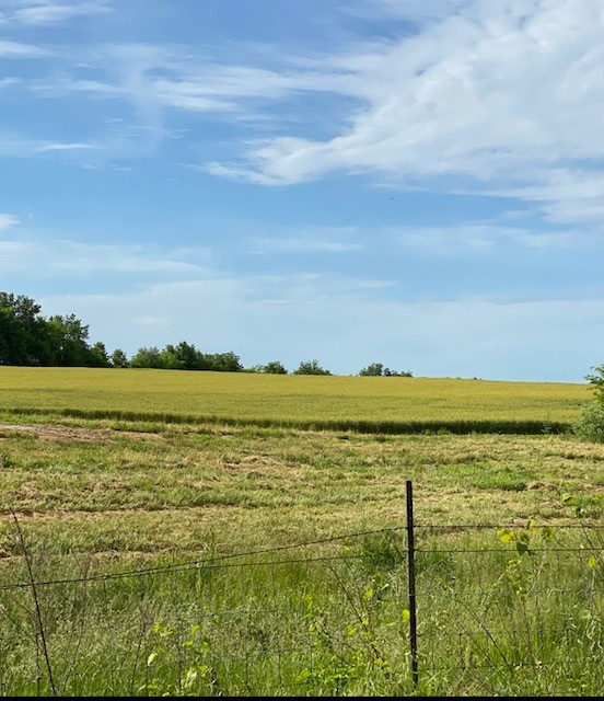 0 Branham Mill Road Gallatin, TN 37066 - Photo 3 of 4 a view of an ocean from a city