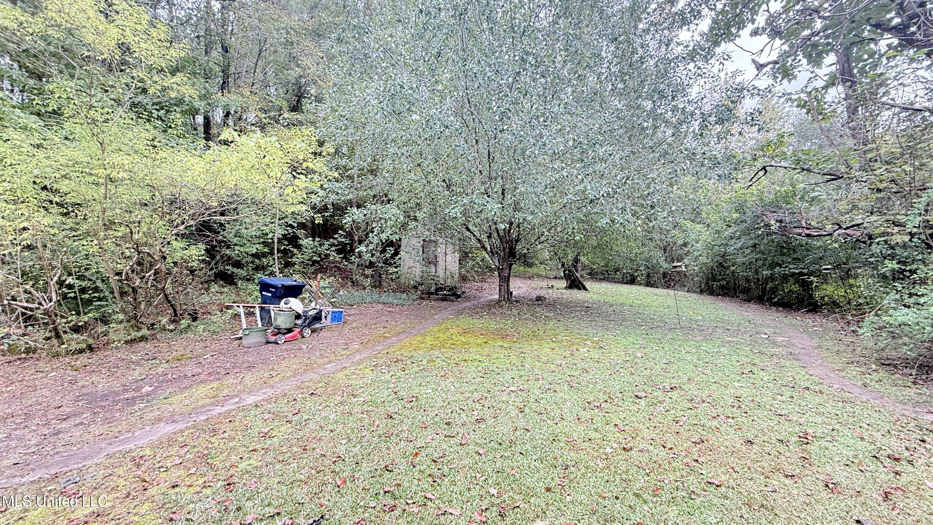 101 Beck Springs Road Hickory Flat, MS 38633 - Photo 10 of 13 IMG_2818