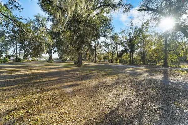 a view of a yard with large trees