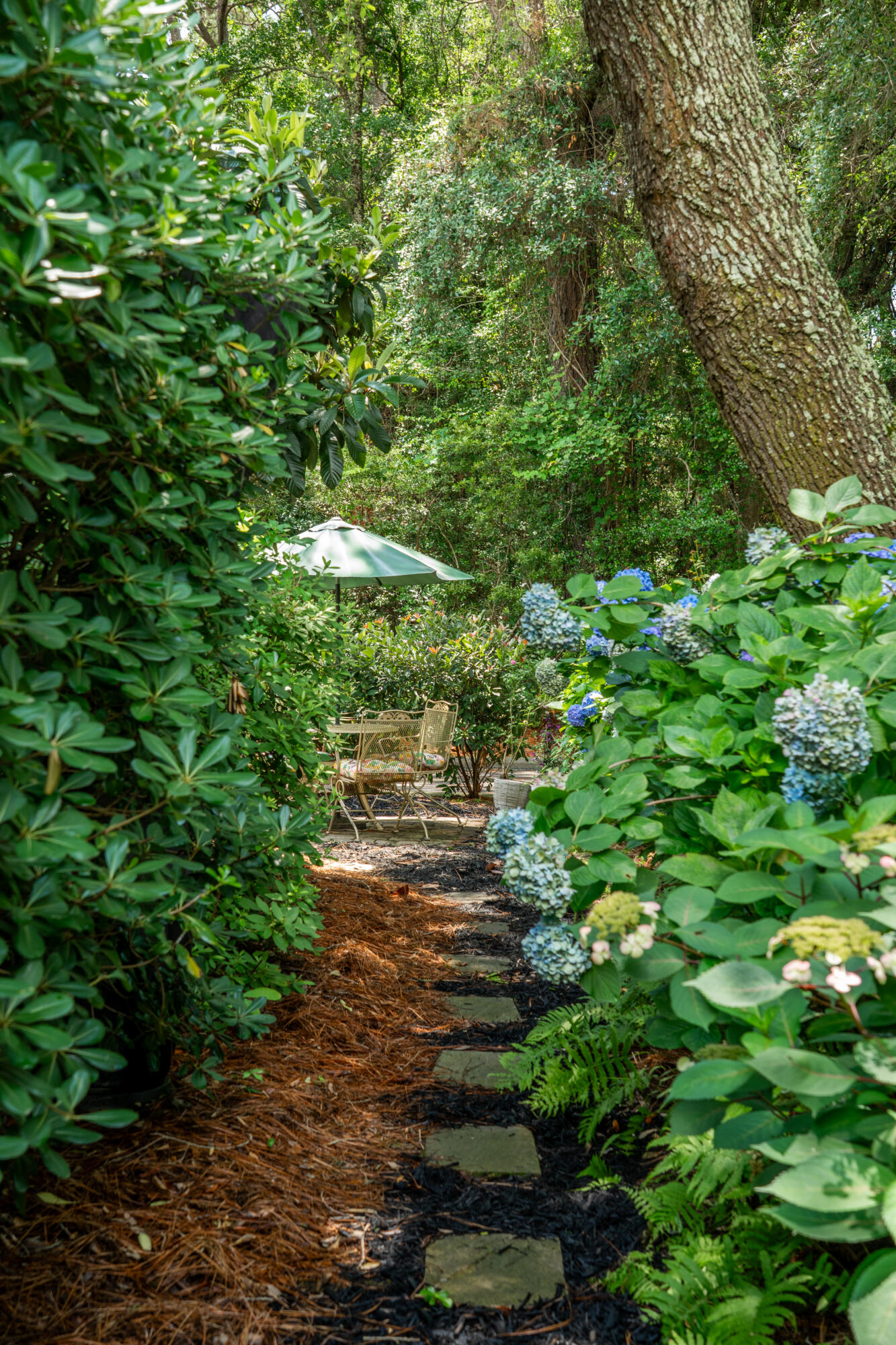 907 High Nest Lane Charleston, SC 29412 - Photo 34 of 56 907HighNestLn-KeenEyeMarketing-047