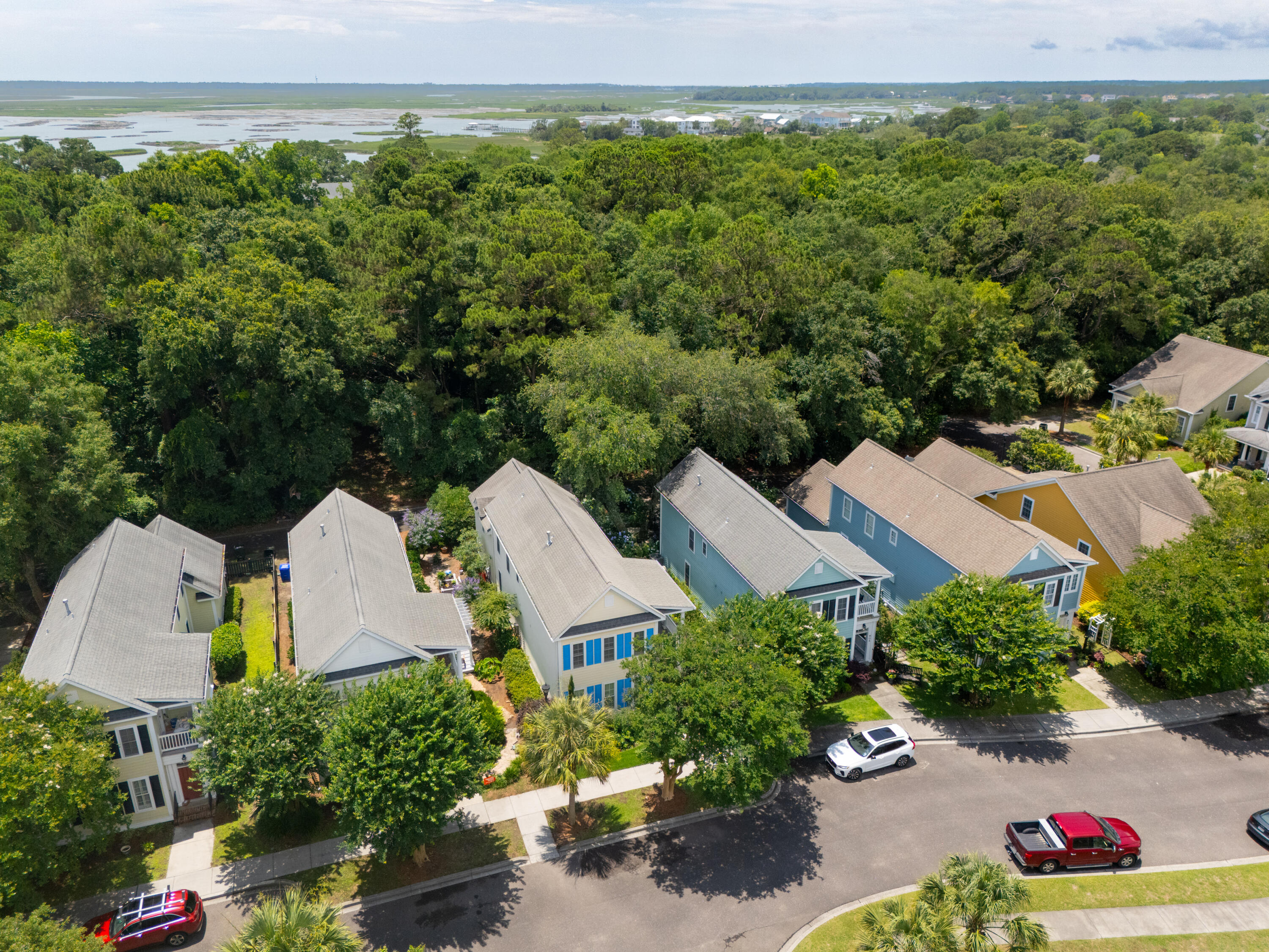 907 High Nest Lane Charleston, SC 29412 - Photo 45 of 56 907HighNestLn-KeenEyeMarketing-076