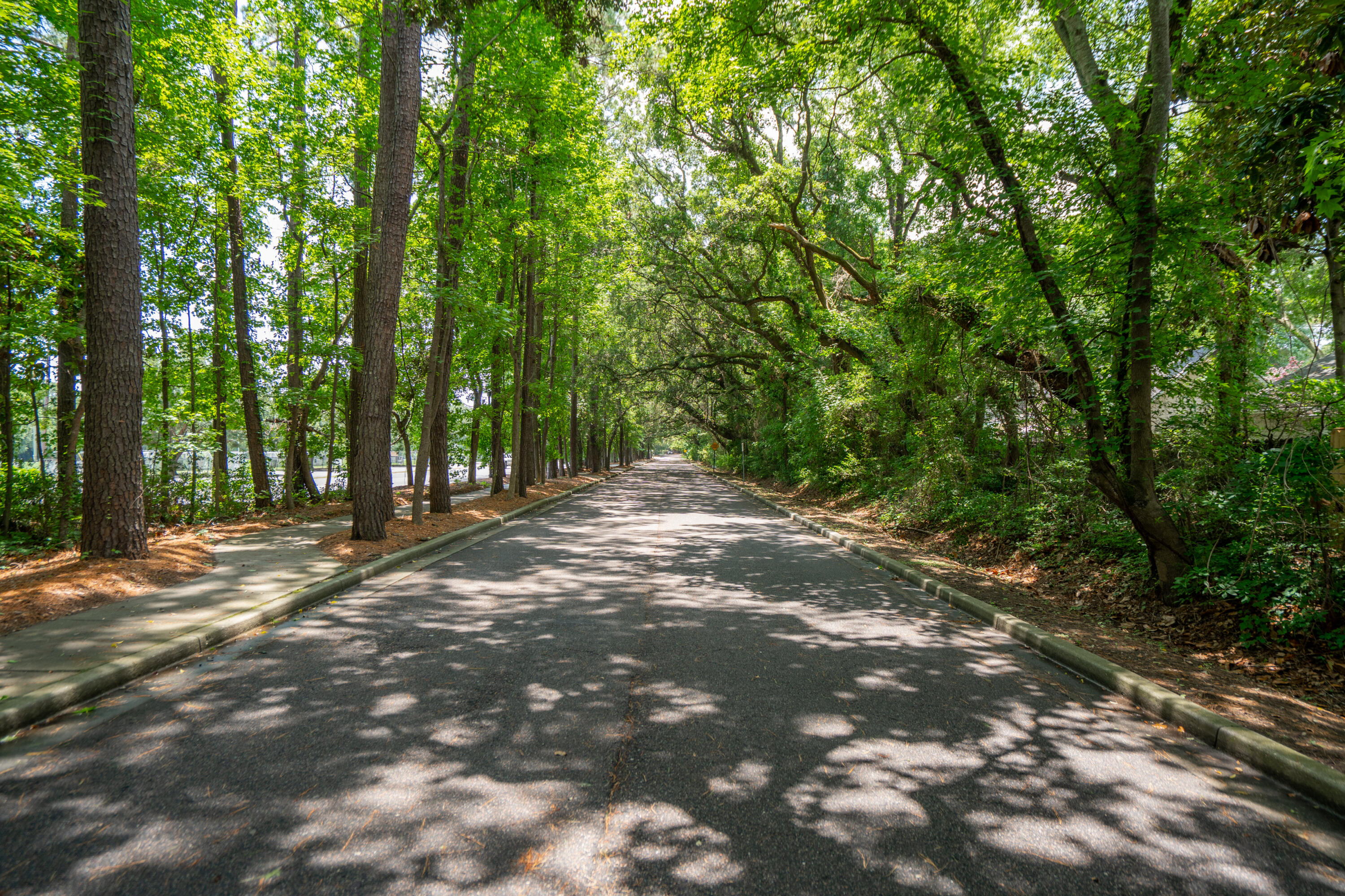 907 High Nest Lane Charleston, SC 29412 - Photo 46 of 56 907HighNestLn-KeenEyeMarketing-072