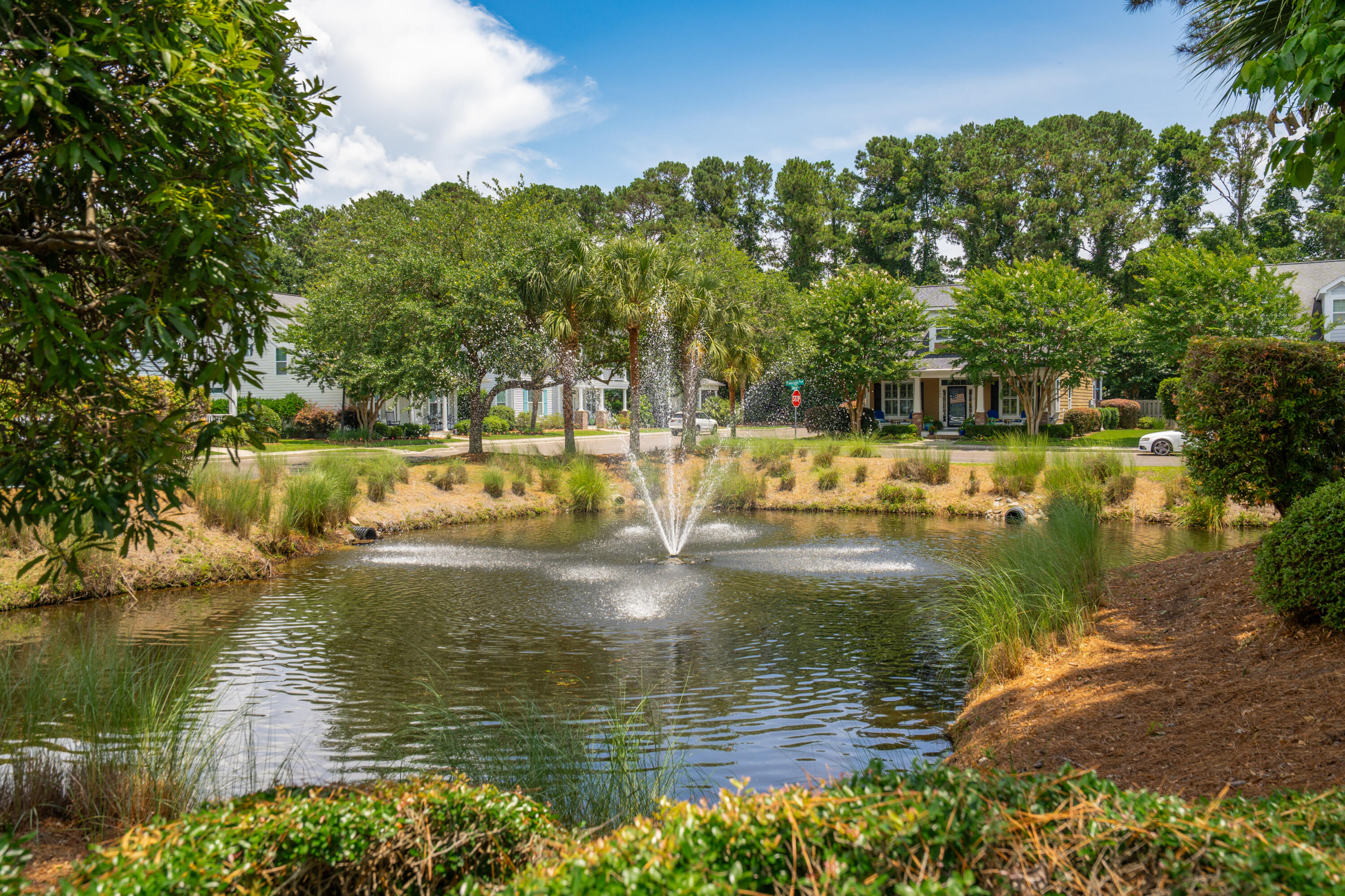 907 High Nest Lane Charleston, SC 29412 - Photo 47 of 56 907HighNestLn-KeenEyeMarketing-070