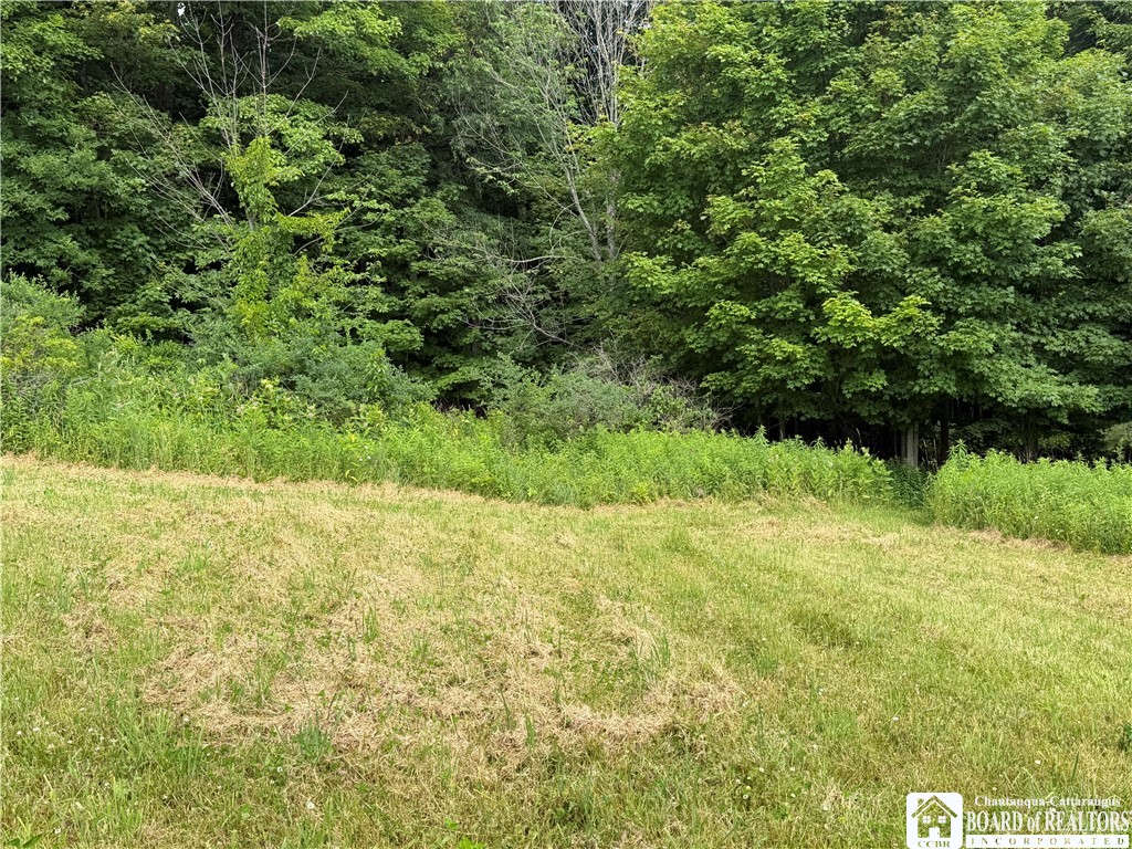 2751 Canfield Road Cohocton, NY 14826 - Photo 15 of 50