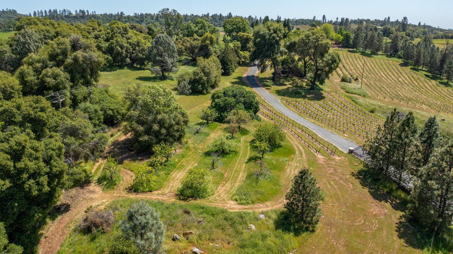 13320 Oakstream Road Plymouth, CA 95669 - Photo 85 of 98
