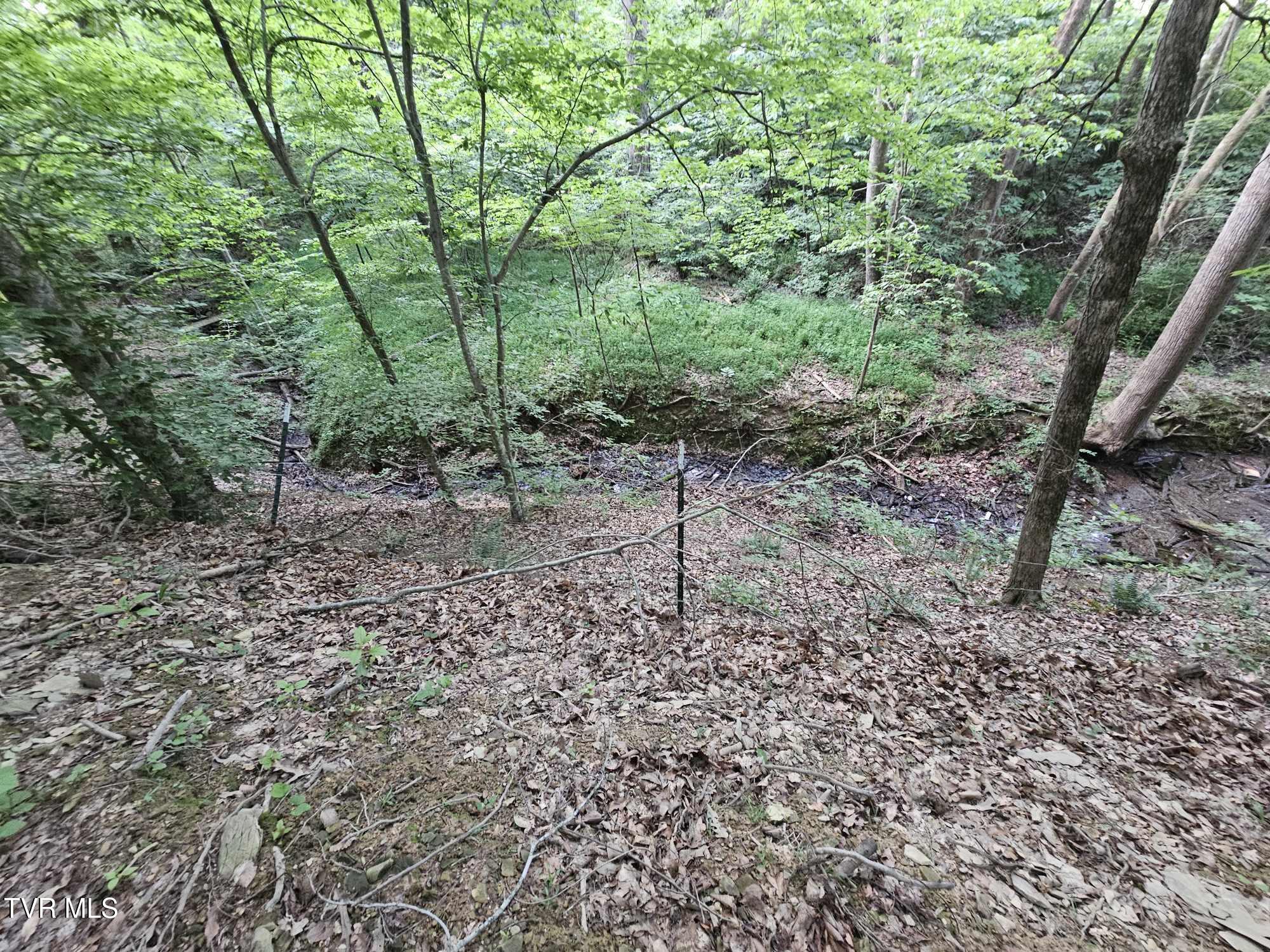 2264 Devault Bridge Road Piney Flats, TN 37686 - Photo 28 of 29 f7b7757c-bc8f-4839-9488-c2791df8340a