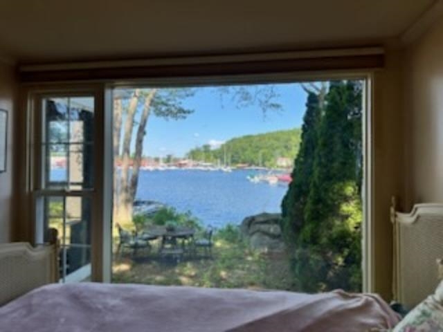 19 Smith Cove Road Gilford, NH 03249 - Photo 41 of 44