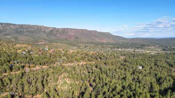 a view of a mountain in the distance in a field