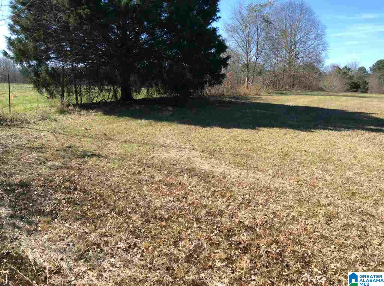 0 Coats Bend Road, Unit 1 Gadsden, AL 35901 - Photo 15 of 20