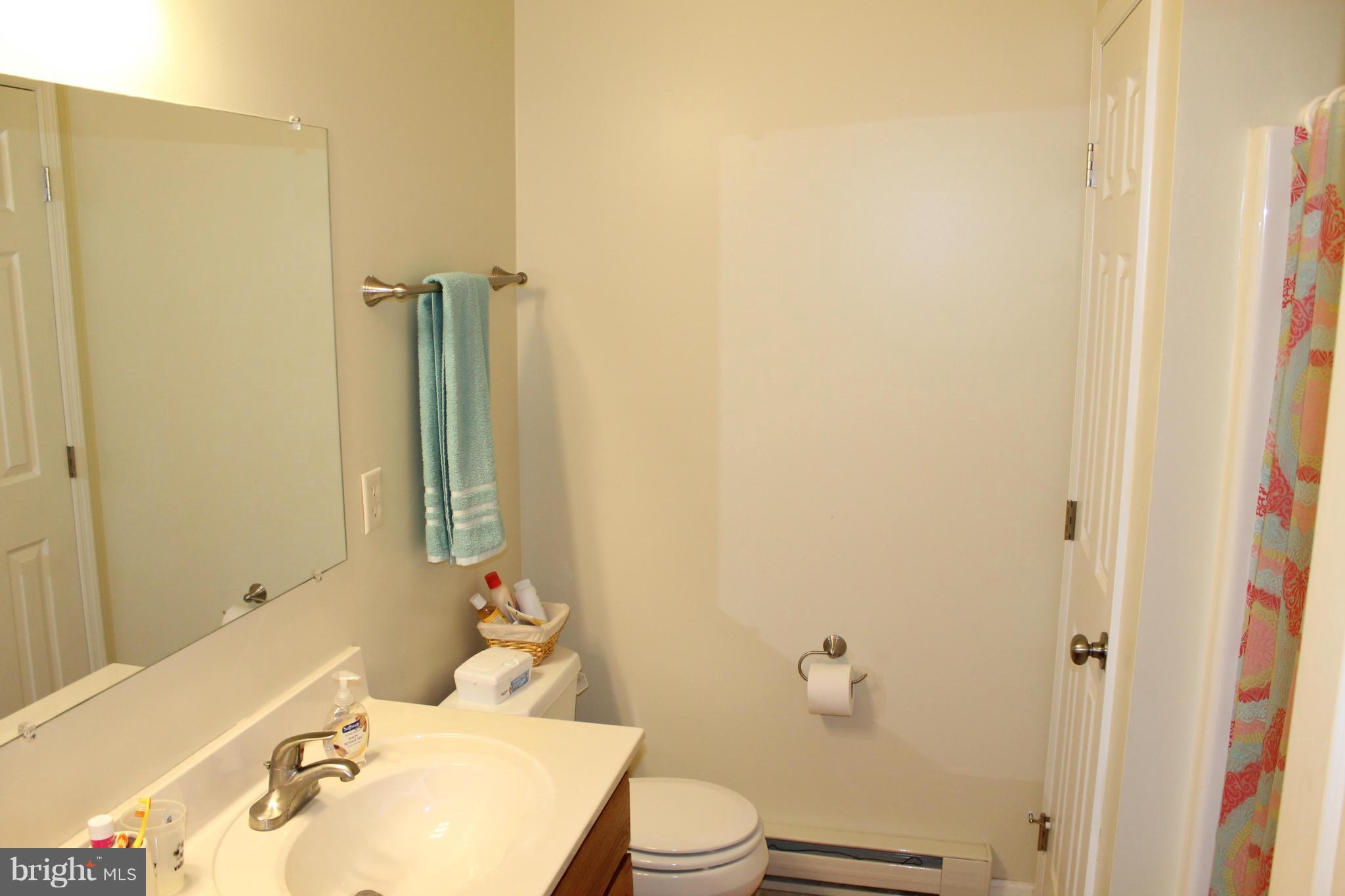1907 Ebenezer Church Road Gore, VA 22637 - Photo 24 of 30 Bath