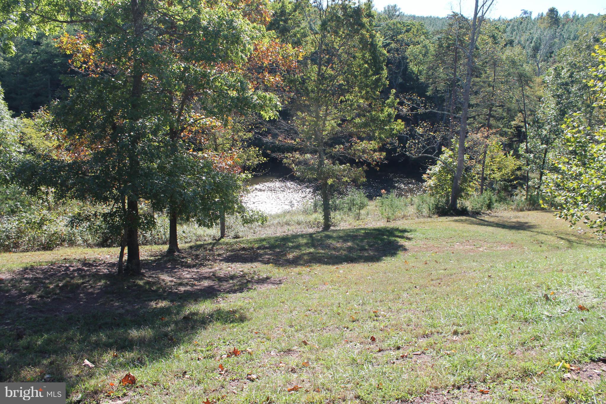 1907 Ebenezer Church Road Gore, VA 22637 - Photo 5 of 30 View