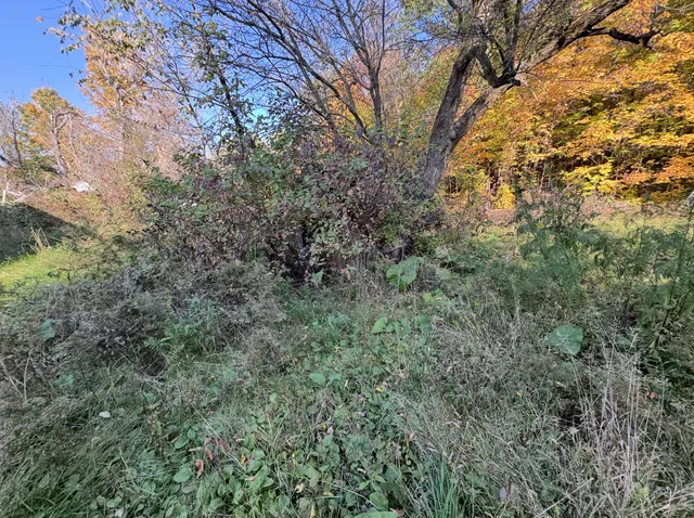 $115,000 | 37176 Nature Avenue, Aitkin, MN 56431