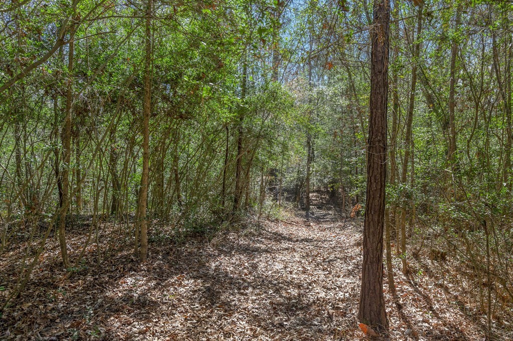 893 Capps Road Huntington, TX 75949 - Photo 24 of 33