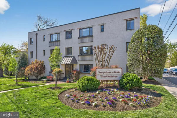 a view of a bunch of plants and flowers