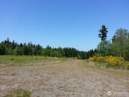a view of dirt field with trees in background