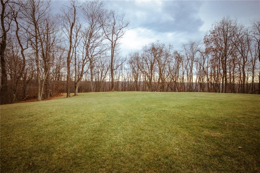 393 Mowry Road Monaca, PA 15061 - Photo 2 of 25 Park like back yard, with plenty of space to roam and a view for you!
