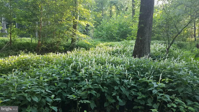 $699,999 | 4950 Hardesty Road, Huntingtown, MD 20639