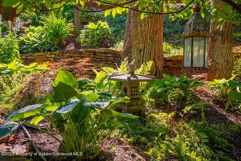 a view of a patio with table and chairs potted plants and large tree