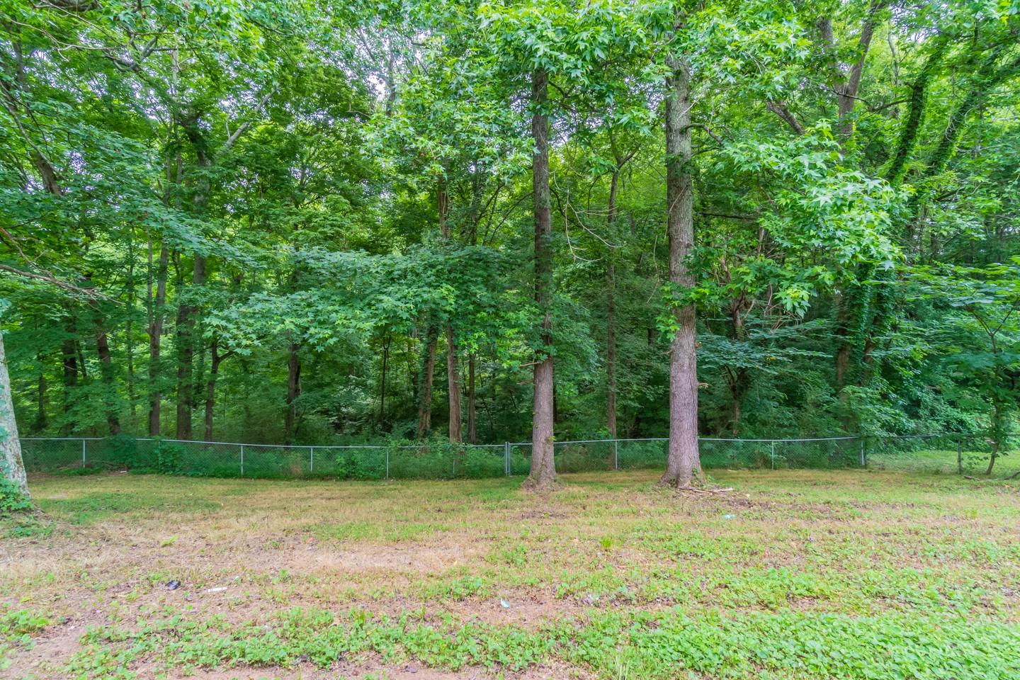 1226 Chapmansboro Road Chapmansboro, TN 37035 - Photo 26 of 26 Gallery Image 26