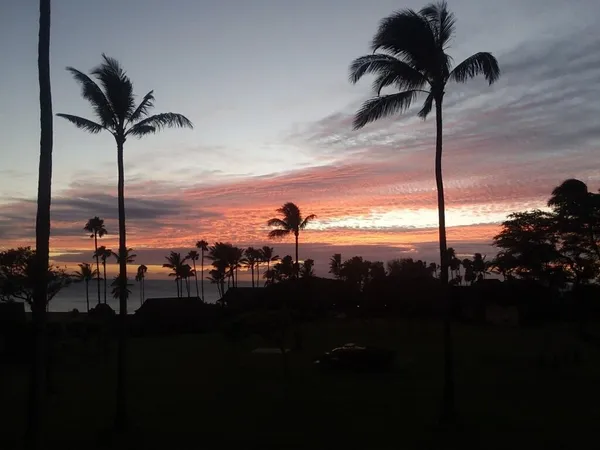 $249,000 | 255 Kepuhi Place, Unit 2203, Maunaloa, HI 96770