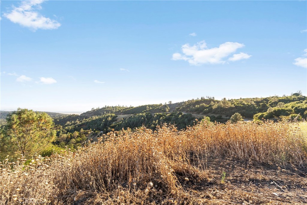 10761 Red Eye Road Oroville, CA 95965 - Photo 3 of 21