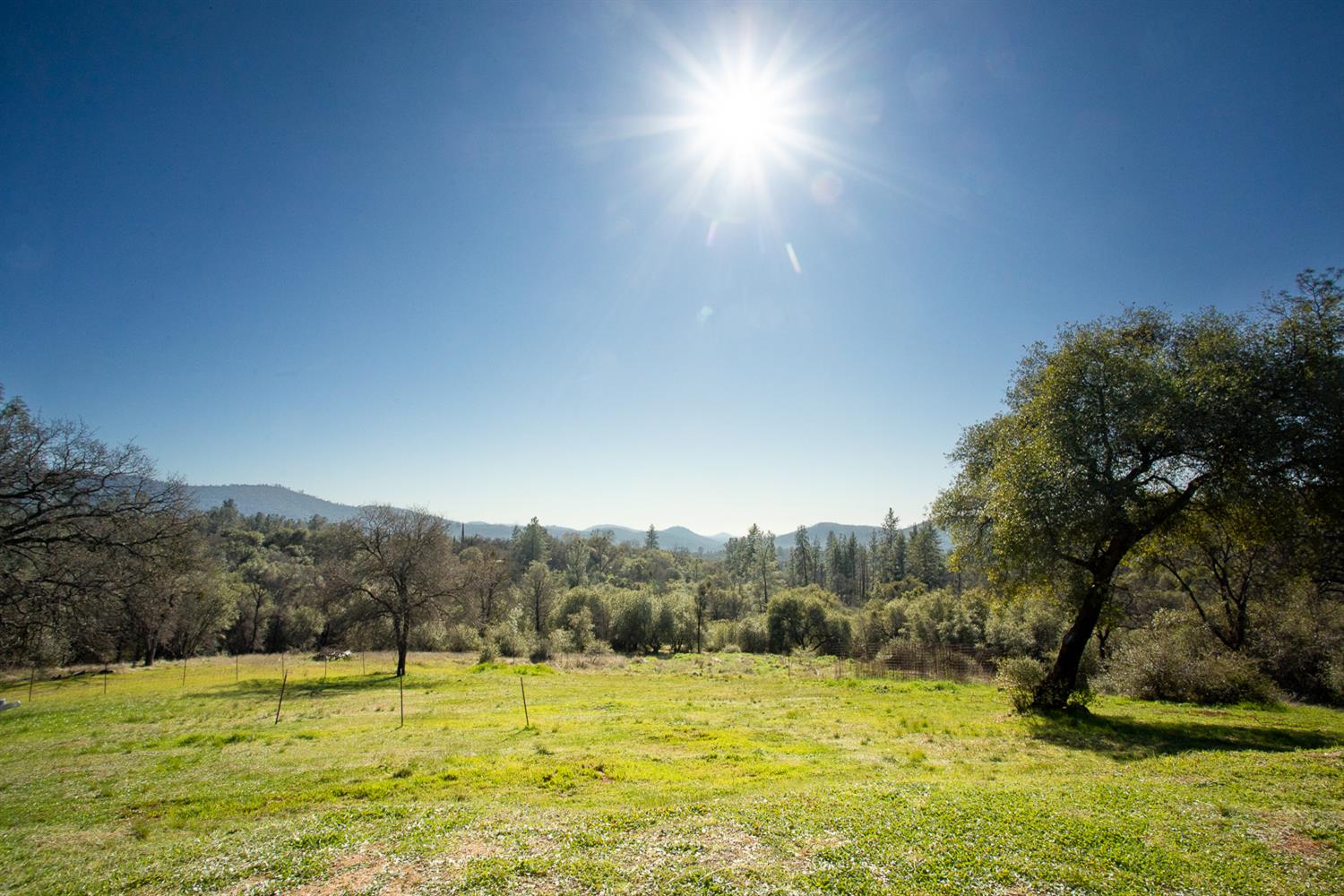 1718 Robinson Mill Road, Unit 1 Bangor, CA 95914 - Photo 11 of 76