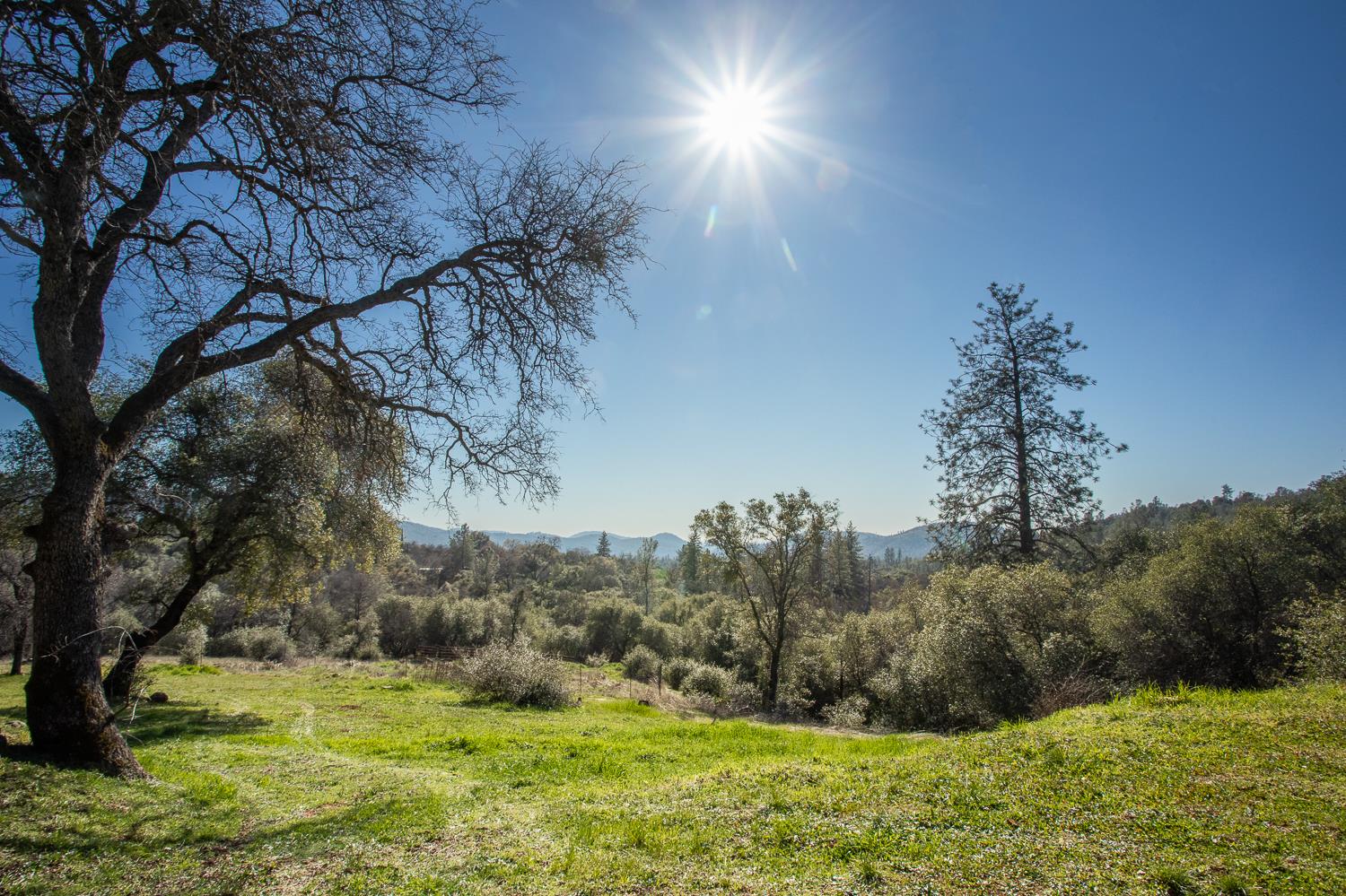 1718 Robinson Mill Road, Unit 1 Bangor, CA 95914 - Photo 12 of 76