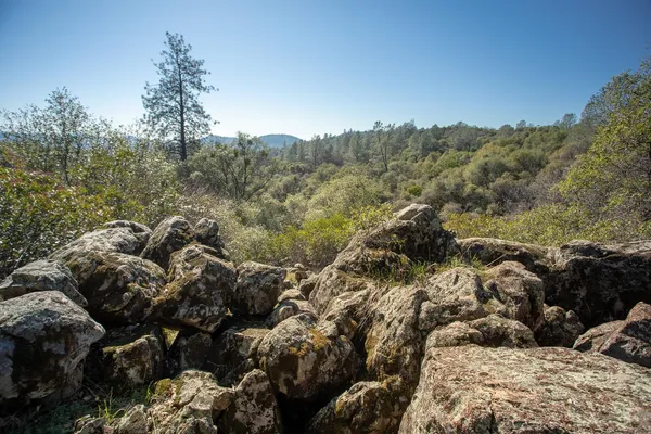 $499,000 | 1718 Robinson Mill Road, Unit 1, Bangor, CA 95914