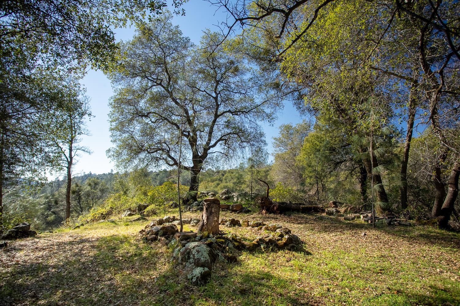 1718 Robinson Mill Road, Unit 1 Bangor, CA 95914 - Photo 69 of 76